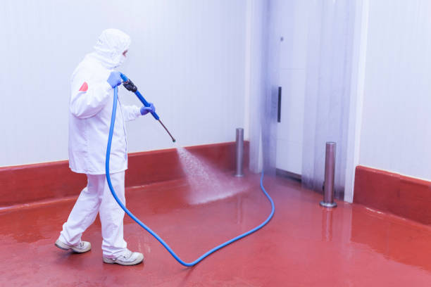Reliable Meadowbrook, AL Pressure Washing Services Solutions